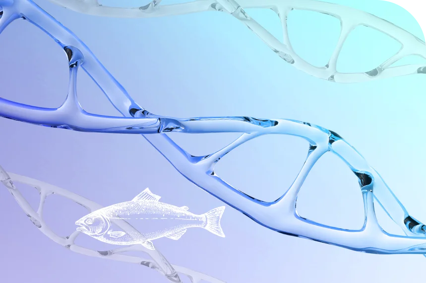 DNA a losos — PDRN se získává z lososa a strukturou se blíží lidské DNA