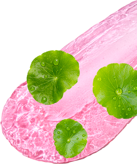 Centella Asiatica