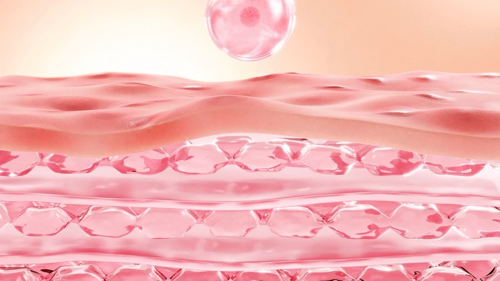 Hydratace pleti