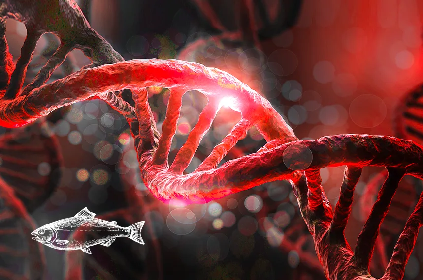 DNA spirála a losos
